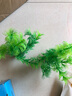 森森（SUNSUN）鱼缸造景水族装饰水草植物摆件水族箱造景仿真水草前中景草 ZJ-101B 实拍图