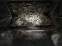 传奇会 茶叶 白茶 4年料白毫银针木箱散茶 福鼎白茶老白茶礼盒装300g 晒单实拍图