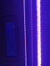 森森（SUNSUN）鱼缸潜水灯变色LED灯七彩照明水族箱造景灯龙鱼防水灯管 78cm双排灯红色13W（带独立开关） 实拍图
