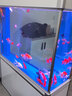 森森（SUNSUN）鱼缸水族箱客厅免换水风水家用金鱼缸 1.2米长屏风款 42cm宽时尚底滤(黑白灰可选) 实拍图