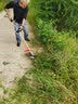 森牛（SENNIU）德国割草机汽油机四冲程背负式除草锄地松土微耕种植打草电动农具 四冲背式五合一-锄草+松土+烟钻 实拍图