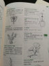 植物学家的词汇手册：图解1300条园艺常用植物学术语 一本园艺小百科 晒单实拍图