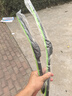 美时美（meisim）思皓E10X雨刮器刮雨思浩江淮大众花仙子胶条无骨汽车专用雨刷 实拍图