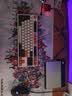 阿米洛（Varmilo） 阿米洛鼠标垫，桌垫办公，竞技鼠标垫，游戏垫，大鼠标垫 奥运桌垫全家福XL900*400*3MM 实拍图