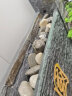 Aseblarm50斤鹅卵石铺路铺地庭院花园造景天然大小石头雨花石原石鹅软暖石 50斤普通五彩4-6cm 晒单实拍图