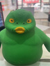 东之天地绿头鱼焦驴犟驴捏捏乐呆头鱼八嘎解压神器沙雕鱼头解压王总大猩猩  大号绿头鱼22*20CM【约2KG重】 实拍图