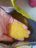 十月稻田 山西黄小米2.5kg 小米 五谷杂粮熬粥 实拍图