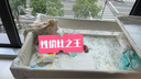 可优比（KUB）【支持定制】婴儿床垫 天然椰棕透气抗菌宝宝床垫 冬夏双面使用 5cm-3E椰棕款【经典款式】 120*60 实拍图