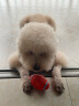 宜特（EETOYS）小号乳胶橄榄球狗狗玩具趣味发声洁齿球乳胶球宠物狗玩具 晒单实拍图