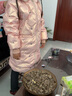 G.DUCKKIDS小黄鸭儿童羽绒服女童中长款2025新款洋气中大童免洗冬童装过年服 糖果粉 150 建议身高150CM左右 实拍图