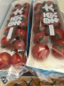 一颗大™ 樱桃番茄 源头直发 红黄串收小西红柿水果 198g*4盒（红3黄1） 晒单实拍图