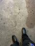 蜘蛛王商务休闲皮鞋男冬季套脚懒人鞋软底轻便男鞋 黑色（加绒） 43  实拍图