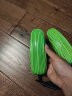 绿之源 双核紫光干鞋器便携烘鞋器成人儿童烤鞋器暖鞋器去异味暖脚 实拍图