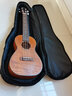 木叶定制23寸尤克里里包乌克丽丽卡通个性可爱ukulele琴包24寸琴盒 潮牌皮卡丘尤克里里23/24通用款 实拍图