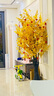 新新精艺元旦新年装饰春节商场发财树酒店摇钱树摆件场景布置1.8米金榕树 实拍图