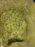 汪满田500g新茶碎茶叶碎茶沫茶片2026明前高碎高山云雾绿茶袋装散装 毛峰碎茶500g 实拍图