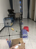 养只宠物（YOUNGER PET）宠物围栏狗狗室内狗笼子中小型犬泰迪柯基隔离门防护栏栅栏狗窝 狗围栏（加粗2*3） 实拍图