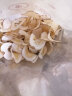 福东海 海底椰片250克 新鲜海底椰干浓香广东煲汤汤料煮糖水炖汤食材 雪梨膏材料 实拍图