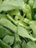 冰草新鲜蔬菜食用冰菜2斤即食生吃蔬菜沙拉食材水晶 500g 晒单实拍图
