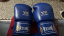 九日山 专业系绳款比赛散打拳套超纤皮泰拳搏击格斗训练拳击手套绑带 超纤蓝色(仿乳胶内胆) 10oz 实拍图