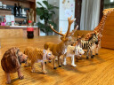 MECHILE仿真动物模型玩具套装儿童野生动物园大象长颈鹿摆件宝宝早教认知 实心老虎 实拍图