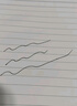 得力中性笔按动签字笔黑色按压碳素水笔笔芯学生考试专用笔圆珠水性笔办公用品笔类文具批发好用的笔 蓝色 3支装【S01升级款】 实拍图