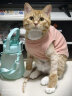 爱它乐猫狗服装春秋夏季保暖卫衣小宠物泰迪猫咪外套可爱小熊粉中 晒单实拍图