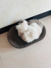 珍宠星球 猫抓板大号60cm瓦楞纸窝碗形猫窝宠物猫玩具猫爪板磨爪器猫咪用品可玩可躺 晒单实拍图