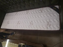 香榭柏兰 椰棕床垫棕垫硬棕榈床垫子 天然乳胶榻榻米床垫定做定制 10CM厚（防螨混纺面料+7CM椰棕） 0.8米*1.9米 实拍图