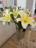 悦多彩AB级优质香水百合 家庭办公室各色生活鲜花 昆明基地 现采直发 黄色百合10朵（双头5枝） 实拍图