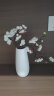 盛世泰堡 北欧陶瓷花瓶摆件仿真花满天星插花瓶插花瓶装饰摆设竖棱款20cm 实拍图