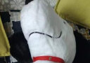 名创优品（MINISO）史努比生日会系列-趴姿毛绒公仔毛绒玩具娃娃玩偶抱枕 生日礼物 晒单实拍图
