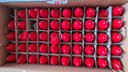 LED佛堂佛台神台红色小灯泡财神爷电蜡烛莲花灯泡长明尖红泡螺口 E12 中号红色 50个/盒 其它 红 实拍图
