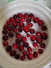 【顺丰可选】黑龙江抚远新鲜蔓越莓冷冻鲜果女性泡水酸水果莓浆果 【抚远蔓越莓·鲜果】80g*2盒|发普快 实拍图