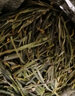 悦己（life）2025春茶新茶绿茶125g 黄山特产毛峰 雨前一级茶叶绿茶自己喝 实拍图