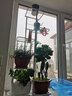 思故轩（SIGUXUAN）花架阳台花盆架子多层落地式简易装饰架铁艺花架客厅绿萝爬藤架 白色H917【六层放七盆】 实拍图