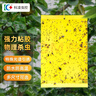 科凌虫控双面粘虫板黄板诱虫板中40片小虫子纸室内家用果树果园大棚厨房帖 实拍图