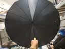 朗特乐（Le Bronte）文艺小清新16骨长柄雨伞复古晴雨两用古风森系日系小清新直杆伞双人伞遮阳伞 黑色直柄 实拍图