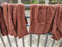 硕基（SUOTJIF）棕色 高品质超细纤维洗车毛巾 擦车吸水毛巾加厚10条 30*70棕色 实拍图