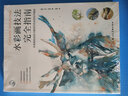 水彩基础III：风景画技法实练——西方经典美术技法译丛 实拍图