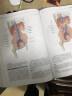 格氏解剖学 临床实践的解剖学基础第41版X线CTMIR超声图组织学申镜图局部解剖神经系统解剖头颈部奈特人体解剖彩色图谱格式解剖学 晒单实拍图