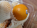 新奇士Sunkist 澳大利亚进口脐橙 一级大果 4粒尝鲜装 单果重180g+ 新鲜水果 实拍图