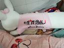 蓓斯曼【当次日达】毛绒玩具女生公仔趴趴兔子睡觉抱枕布娃娃玩偶陪睡生日礼物送女生夹腿布偶女孩儿童抱枕 粉色生日快乐蝴蝶结兔 1米 实拍图