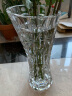 BOHEMIA捷克进口透明水晶玻璃花瓶波西米亚北欧式创意大干花富贵竹餐桌水培水养客厅插花摆件花艺花器 晒单实拍图