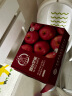 京鲜生烟台红富士苹果12个礼盒净重2.6kg起单果190-240g水果 实拍图