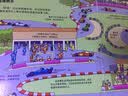 【满69减20】乐乐趣机场3d立体书儿童0-3-6岁揭秘小世界系列科普动物百科全书机关翻翻洞洞触摸婴儿宝宝早教蒙氏益智玩具幼儿阅读故事1岁2岁绘本省钱卡 实拍图