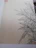 名家画谱系列：百花白描写生集 实拍图
