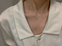 法蔻（farcoko）项链女小马蹄银镶钻锁骨链简约颈链生日礼物送女友老婆 小马蹄锁骨链 把你放在心中 实拍图
