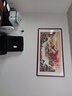 鸿怡轩 山水画办公室客厅新中式装饰画风景画靠山图挂画现代沙发背景墙风景壁画书房茶室字画国画 款式五：《鸿运当头》 四尺实木装框：165*85cm【有机玻璃】 实拍图