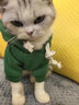 狗狗衣服小中型犬泰迪博美猫咪秋冬新款宠物服饰抓绒卫衣卡通比熊 青蛙卫衣(抽绳款) S(适合3-5斤) 实拍图